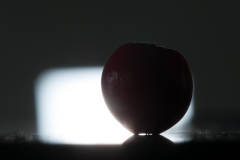 T03_0782