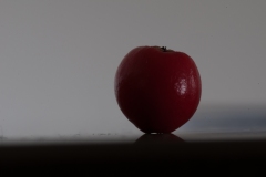 T03_0787