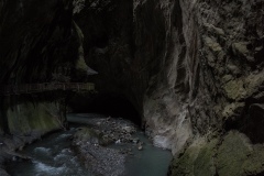 T08_7664