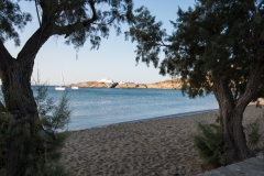 T09_0563