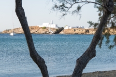 T09_0565