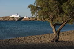 T09_0571