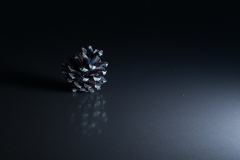 T01_8951