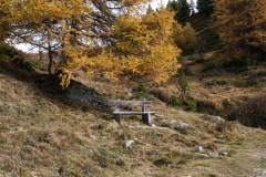 T03_5623