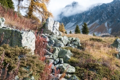 T03_5652