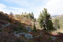 T03_5667