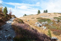 T03_5670
