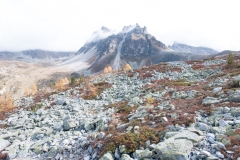 T03_5678