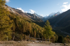 T03_5729