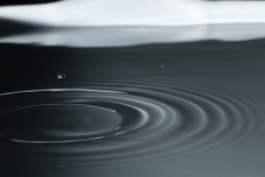 T02_9339