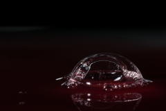 T02_9440