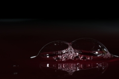 T02_9441