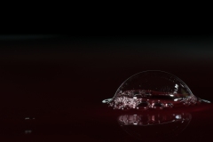 T02_9442