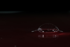 T02_9465
