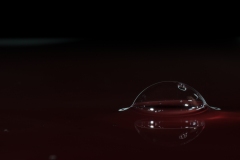 T02_9466