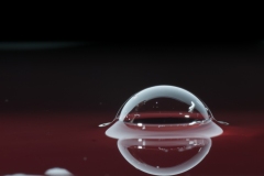 T02_9482
