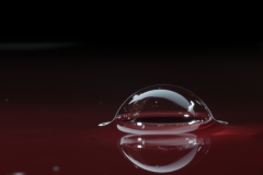 T02_9483